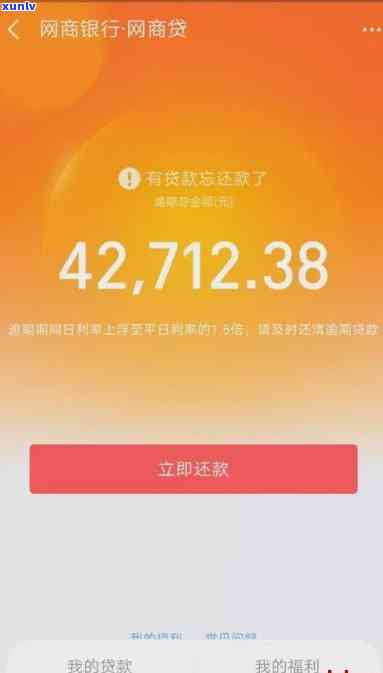 网商贷1万逾期一年了会怎样-网商贷1万逾期一年了会怎样呢