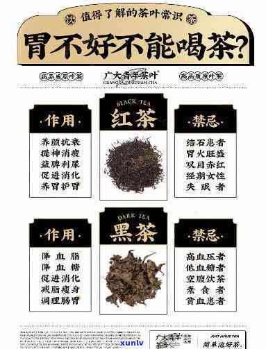 胃不好不能喝什么茶，胃部不适？这些茶你别碰！