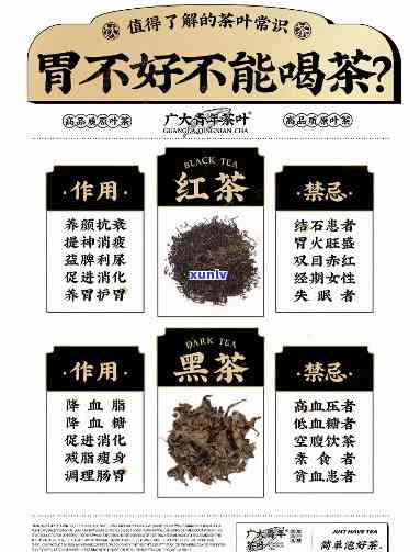 胃不好不宜喝什么茶，胃部不适？这些茶饮需避免！