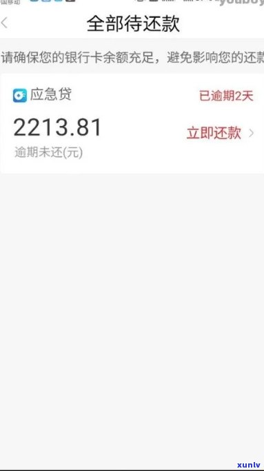 网商贷逾期1天还款会怎么样-网商贷逾期1天还款会怎么样吗