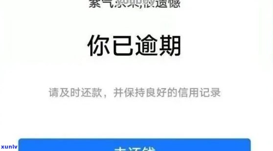 网商贷企业账户逾期会产生什么结果？