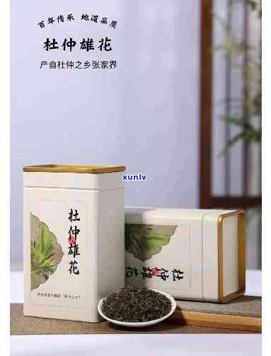 仲雄花属于什么茶类？探讨其分类与植物特性