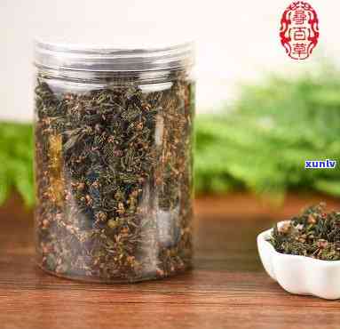 仲雄花属于什么茶类？探讨其分类与植物特性