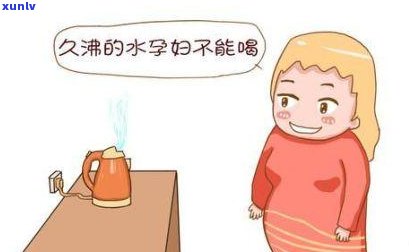 孕妇可以喝什么茶水清热、解、去火？