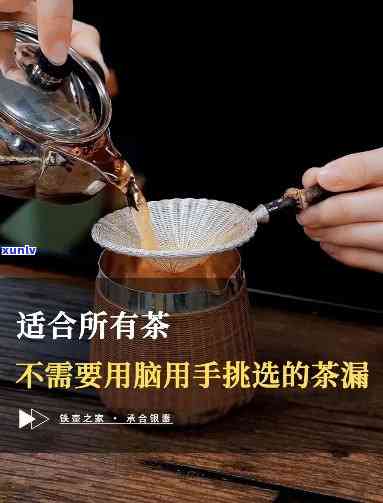 什么茶需要茶漏，使用茶漏的茶叶种类及其必要性