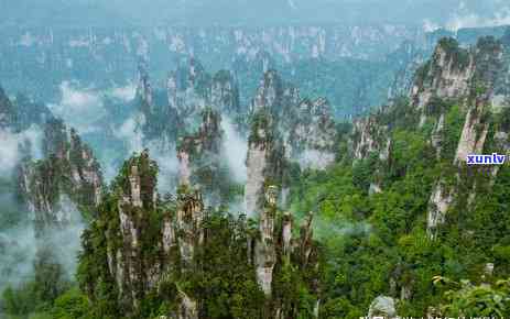 湖南翠峰属于什么茶-湖南翠峰属于什么茶种