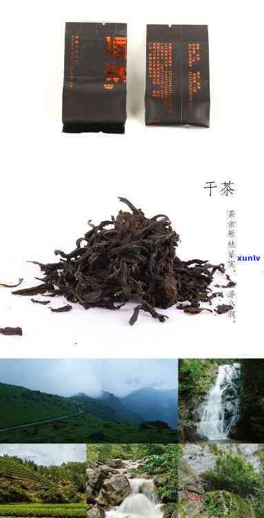 桐木关野茶是什么茶-桐木关野茶属于什么茶