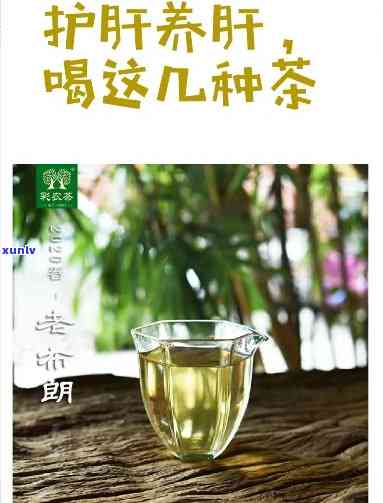 清肝护肝喝什么茶水好，护肝必备！哪种茶水最适合清肝护肝？