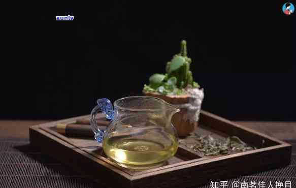 适合喝什么茶水，日炎炎，该喝哪种茶水最消暑？