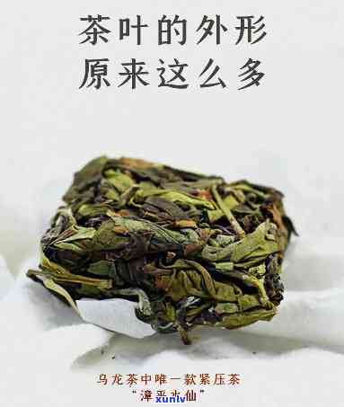 什么茶是卷起来的？探究茶叶的形态与图片展示