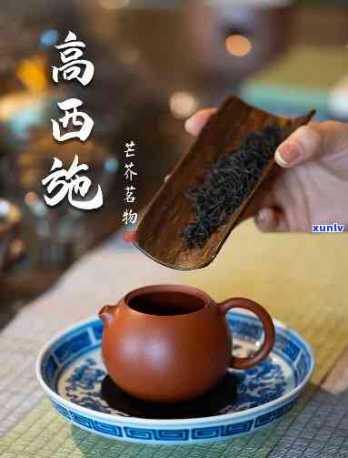 老团泥适合泡什么茶-老团泥适合泡什么茶喝