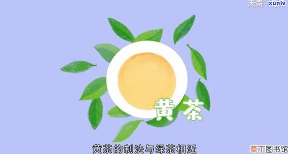 什么茶含茶黄素更高-什么茶含茶黄素更高呢