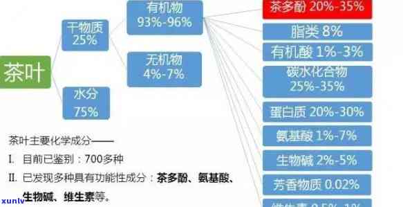 茶多酚：哪些茶叶含量更高？全揭秘！