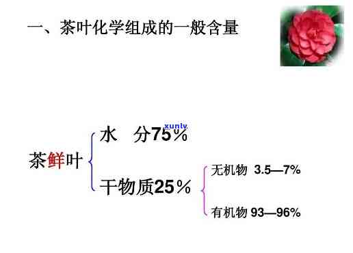 什么茶营养成分更高，揭秘：哪种茶叶的营养成分更高？