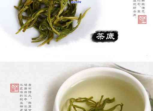 九重雾茶叶价格，揭秘九重雾茶叶的价格：你所不知道的茶叶价值