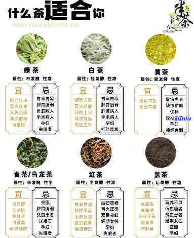 什么茶适合大众口感-什么茶适合大众口感的