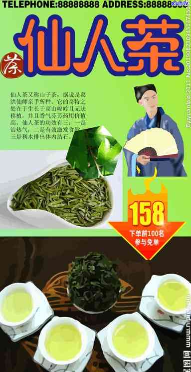 仙人掌茶属于什么茶-仙人掌茶属于什么茶类