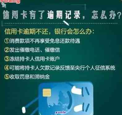 五个月内信用卡有一次逾期会怎么样-五个月内信用卡有一次逾期会怎么样吗