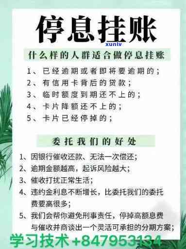 停息挂账成功案例，成功申请停息挂账：案例分享与操作指南