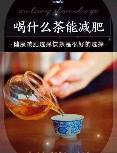 减肥可以喝什么茶水-减肥可以喝什么茶水