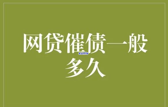 镶嵌翡翠吊坠、手镯、佛公及钻石的单价是多少？