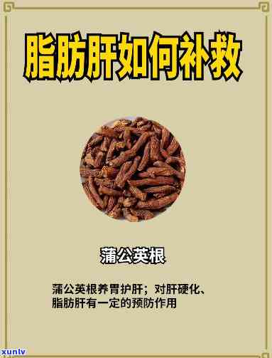 什么茶降脂肪肝效果？快速有效的选择是什么？