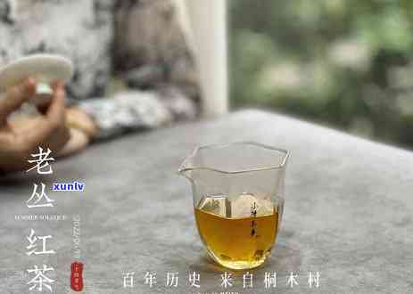 冬天喝红茶好不好?-冬天喝红茶好不好