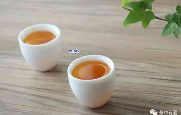 红茶用什么杯子喝？选择适合的杯子提升品茗体验