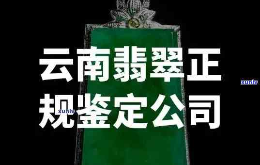 勐拱翡翠破产倒闭：起因解析