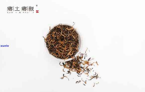 生态老土茶是什么茶-生态老土茶是什么茶叶