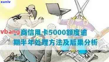 信用卡5000逾期1年会产生什么结果？需要偿还多少钱？