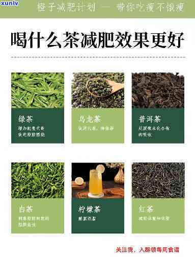 减肥期间搭配什么茶-减肥期间搭配什么茶喝