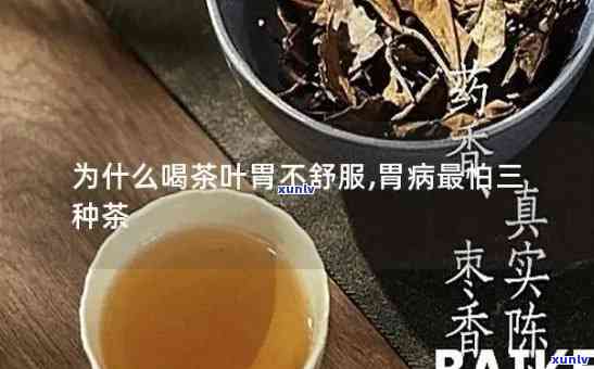 什么茶喝了胃不服-什么茶喝了胃不服呢