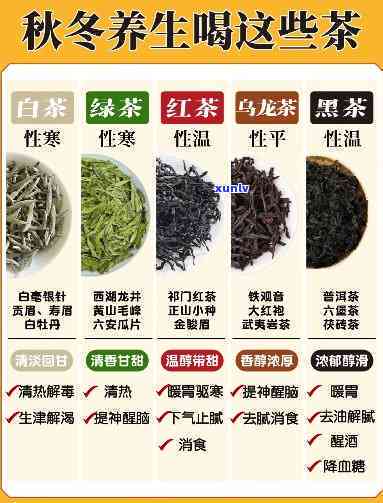 天喝什么茶最滋补养生，日解渴又养生，这些茶是你的选择！