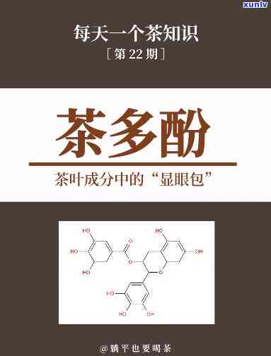 什么茶不含有茶多酚成分，揭秘：哪些茶叶不含茶多酚？