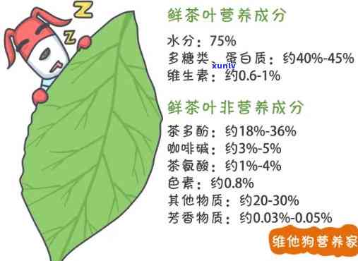 什么茶不含有茶多酚成分，揭秘：哪些茶叶不含茶多酚？