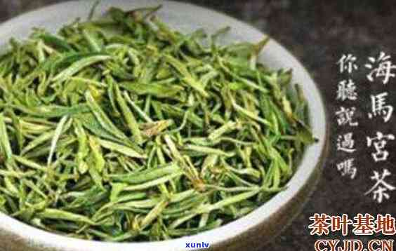 海马宫茶属于什么茶-海马宫茶属于什么茶类