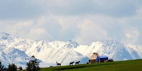 和静景区有哪些，探寻和静之美：揭秘和静景区全攻略