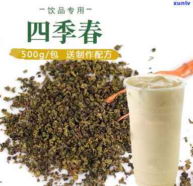 四奶青属于什么茶种，探秘饮品世界：四奶青的茶种归属