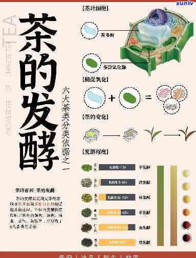 招商银行信用卡逾期一年未还款的影响及解决方案