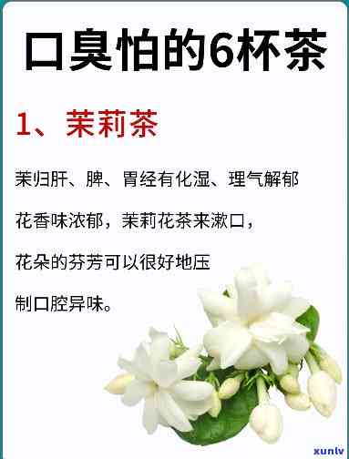 云南省西双版纳勐海县茶叶：揭秘当地知名茶企——西双版纳勐海茶业