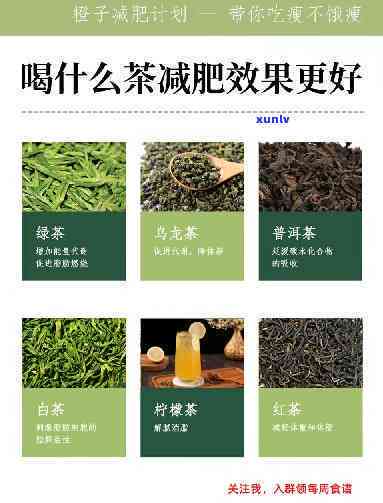 什么茶可以帮助减肥效果？绿茶、乌龙茶还是普洱茶？哪种更有效？