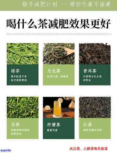 天喝点什么茶减肥效果好，减肥饮品，这些茶饮帮你清爽一！