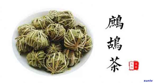 云南名茶制造厂：传统工艺与现代科技并存的普洱茶生产基地