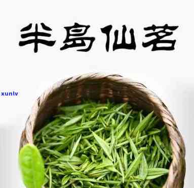 半岛仙茗价格，探究半岛仙茗的价格走势与市场价值