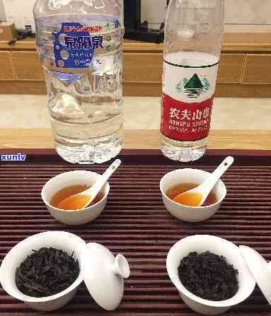 矿泉水适合泡什么茶喝，揭秘！矿泉水最适合泡哪些茶叶，让你的口感更上一层楼