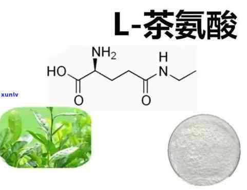 茶氨酸不适宜人群，茶氨酸：哪些人不适合食用？