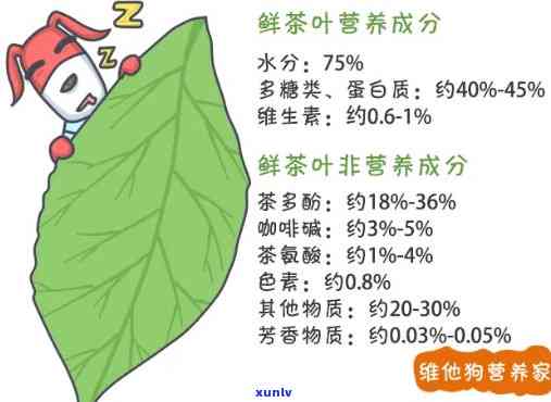 信用卡欠款7万逾期180天：面对后果的自我救赎与处理策略