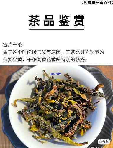 凤凰雪片茶是什么茶-凤凰雪片茶是什么茶叶