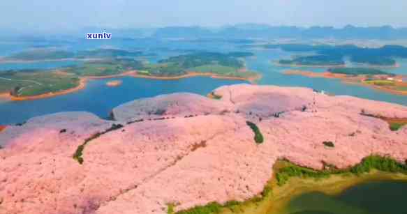 平坝区特产，探秘平坝区：品味当地独特美食与特产